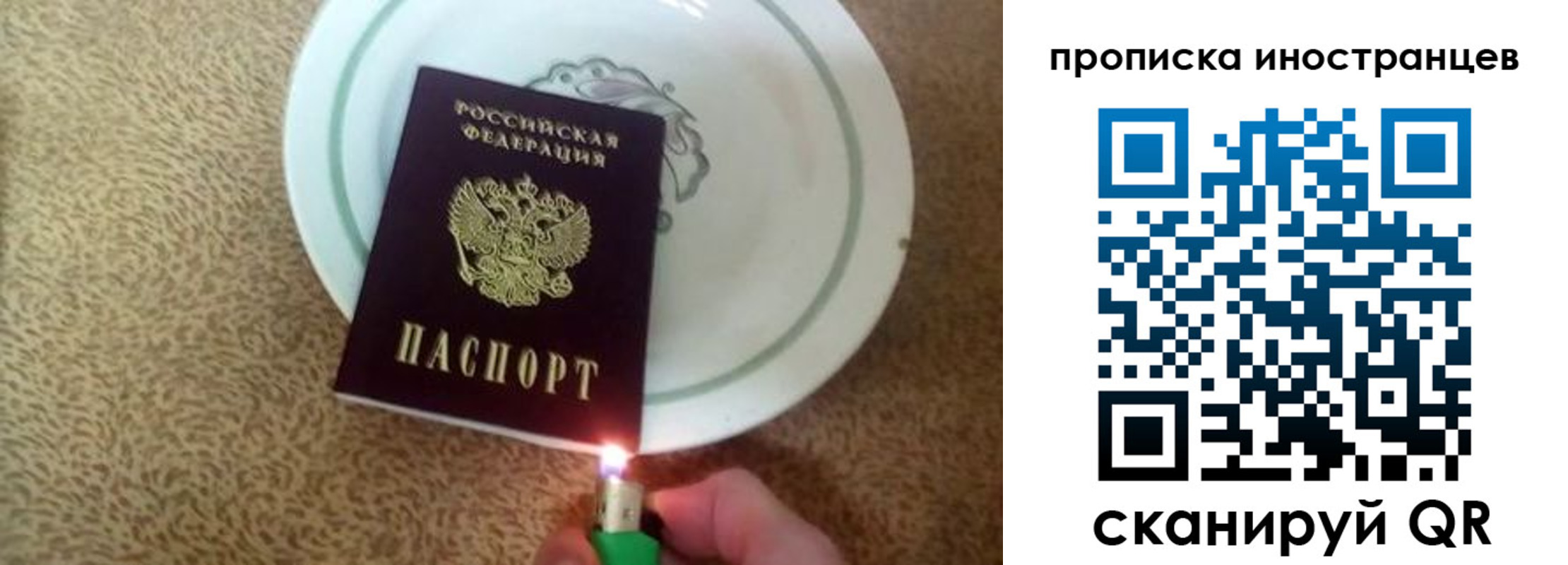 прописка поиск в Владимире
